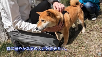 ナラちゃんを撫でると…