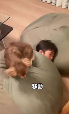 遊び疲れて寝るアムくんと男の子5