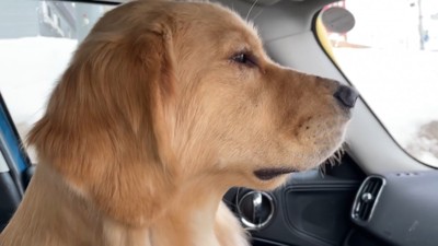 るこる君に「大人しくして」とお願い中