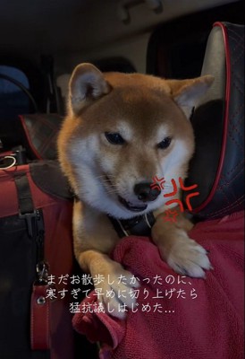 はなまる君の猛抗議2