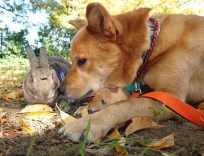 ずっとそばにいる風太くん