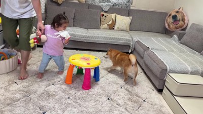 うにくんと追いかけっこ