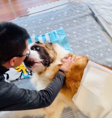 お父さんに頭を撫でてもらう