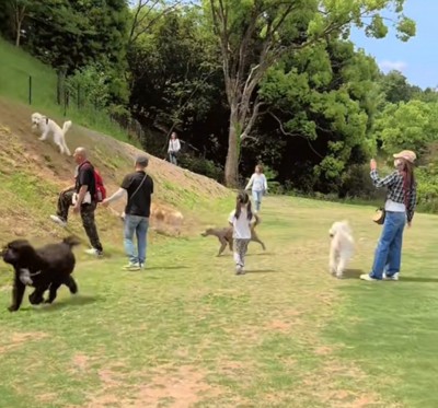 登るおもちちゃん
