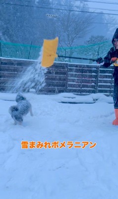龍之介くんの雪遊び6