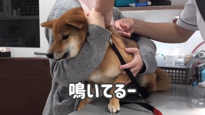 恐怖の頂点に達したりなちゃん…