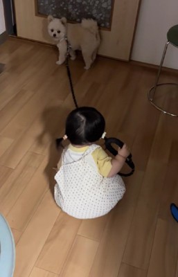 懸命に歩こうとする姿が健気