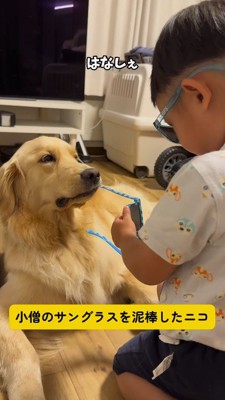 男の子が持っているサングラスの柄を咥える犬