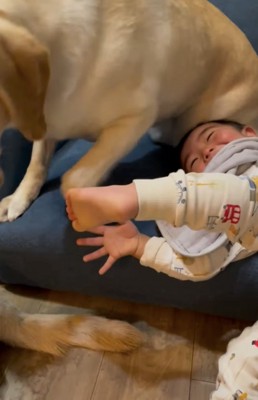 逃げる犬と子ども