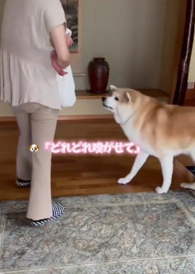 「どれどれ嗅がせて」