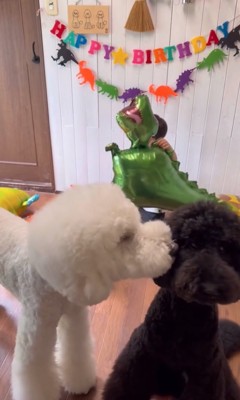 男の子を見守る