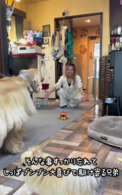 競り合うように駆け寄って…