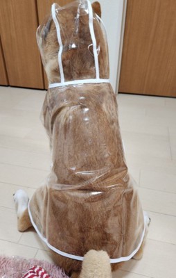 インパクトがすごい…