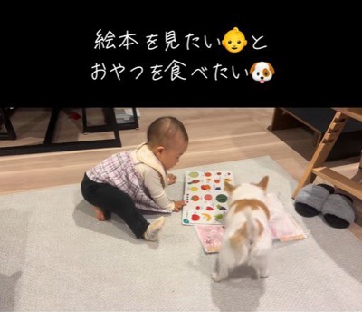 「絵本の下のオヤツが取れないよ～」