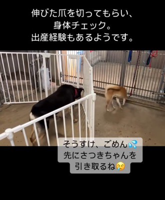 ふくふくホームへと移動