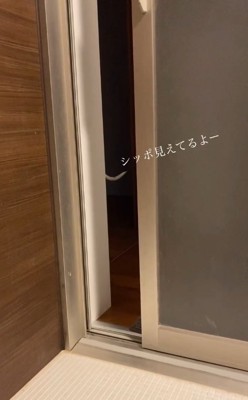 尻尾が見えてる…！