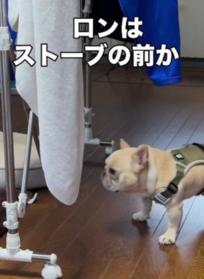 ストーブの前から離れない