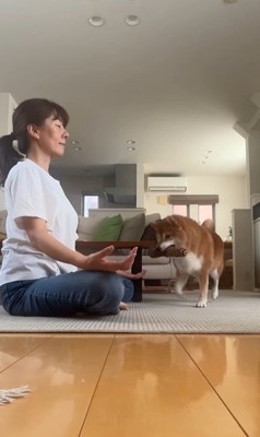 瞑想を邪魔する野々花ちゃん3