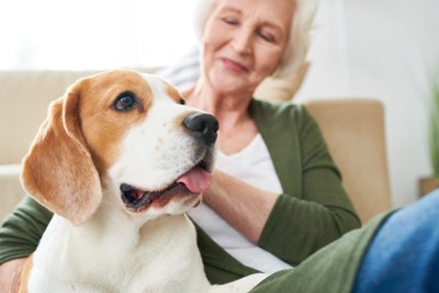 老犬と見守る女性