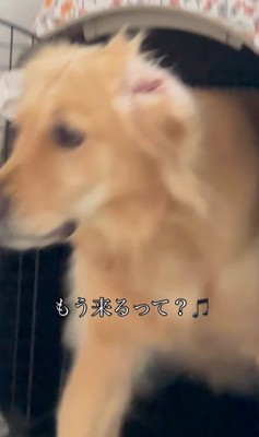 寝起きの瞬間⑩