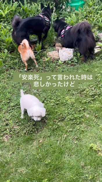 みんなでいるって楽しいね