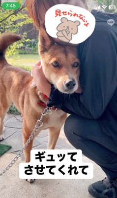 抱きしめられる犬