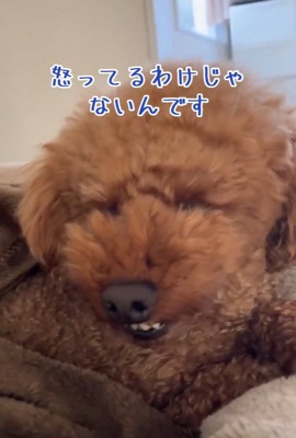 眠たいえるもくん2