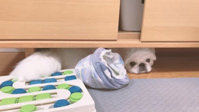 テレビ台から出てこないぷんちくん