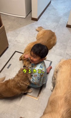 犬3匹を撫でる男の子⑩