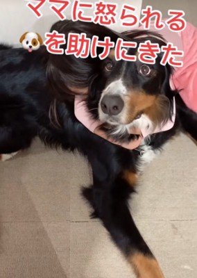 味方をする女の子
