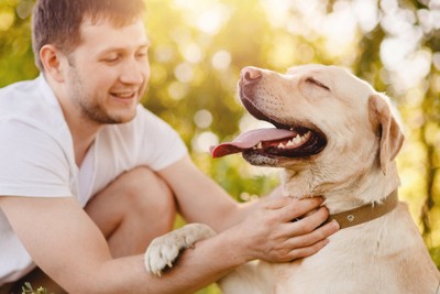 触れ合う男性と犬