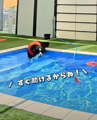 「助けなきゃ!」