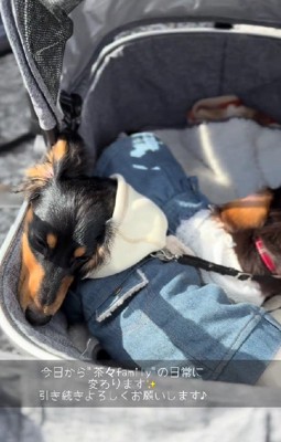 幸せになってよかったね