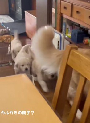 ゾロゾロと並んで移動