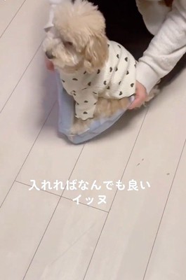 「お出かけ行こう！」