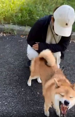 目を細めるぽてとくん