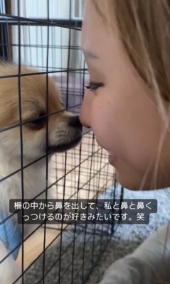 鼻をくっつけるイクラちゃん