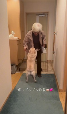 エルモくんとおばあちゃんの再会7