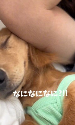 パパに潰されるよよ君9