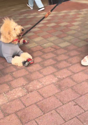 デパートに遊びに来た