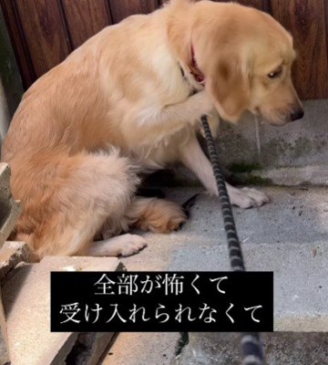 目に映るもの全部が怖い