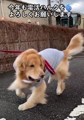 毛が乱れても…