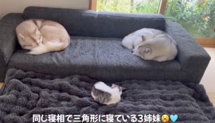 仲睦まじい3姉妹