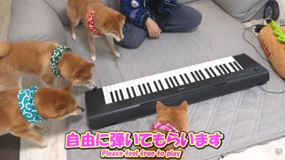 ピアノの周りに集合
