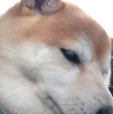 うつむいてしょんぼり