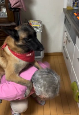 大型犬を降ろそうとしゃがみ込む