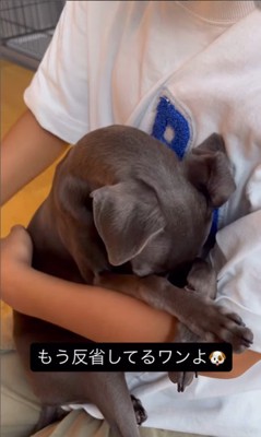 反省中のクッカちゃん8