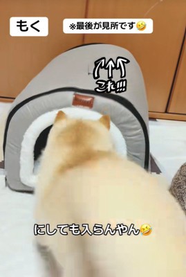 「うっ、狭すぎて無理…!」