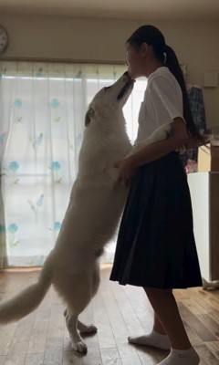 お姉ちゃん帰宅時のまる君2