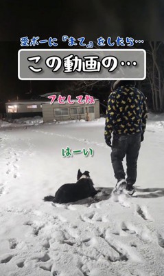 指示に従うU2くん